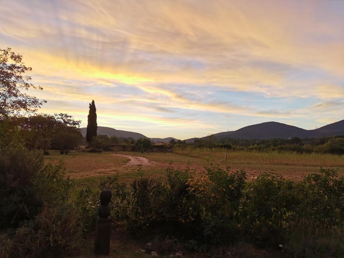 Le Clos De La Chardonniere Saulce-sur-Rhone Luaran gambar