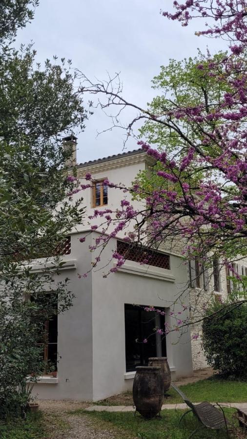Le Clos De La Chardonniere Saulce-sur-Rhone Luaran gambar